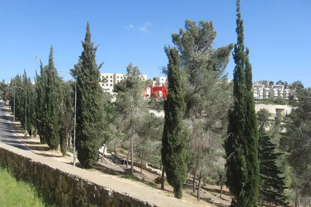 Bayit Vegan, Jerusalem
