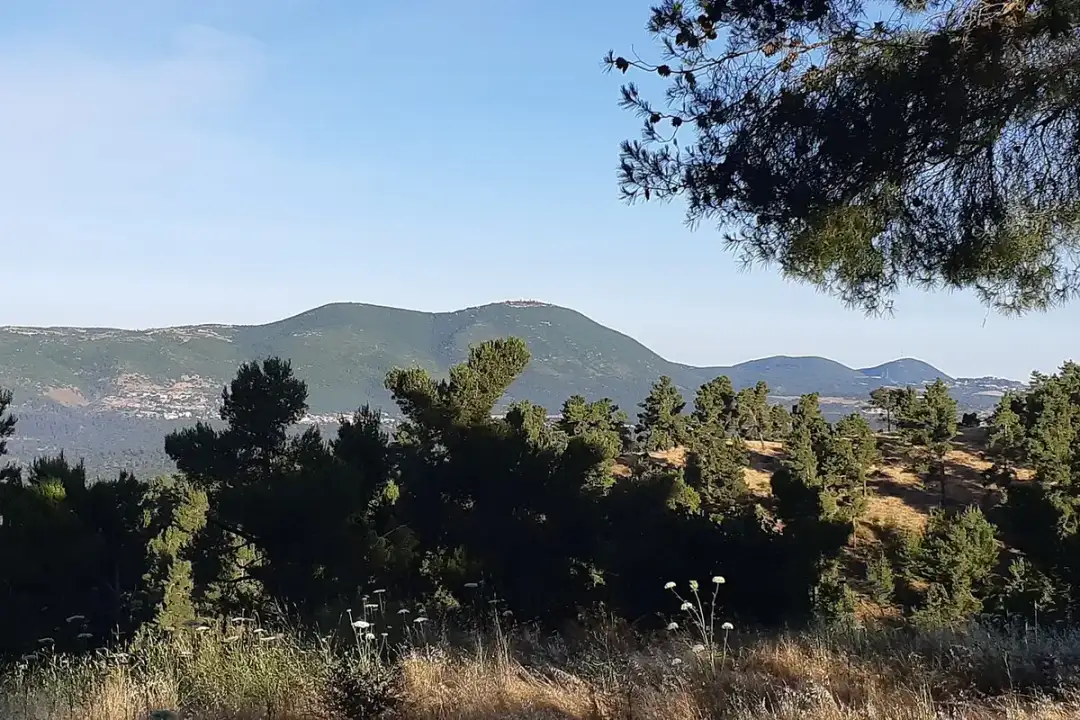 The view from Mount Canaan, Tzfat