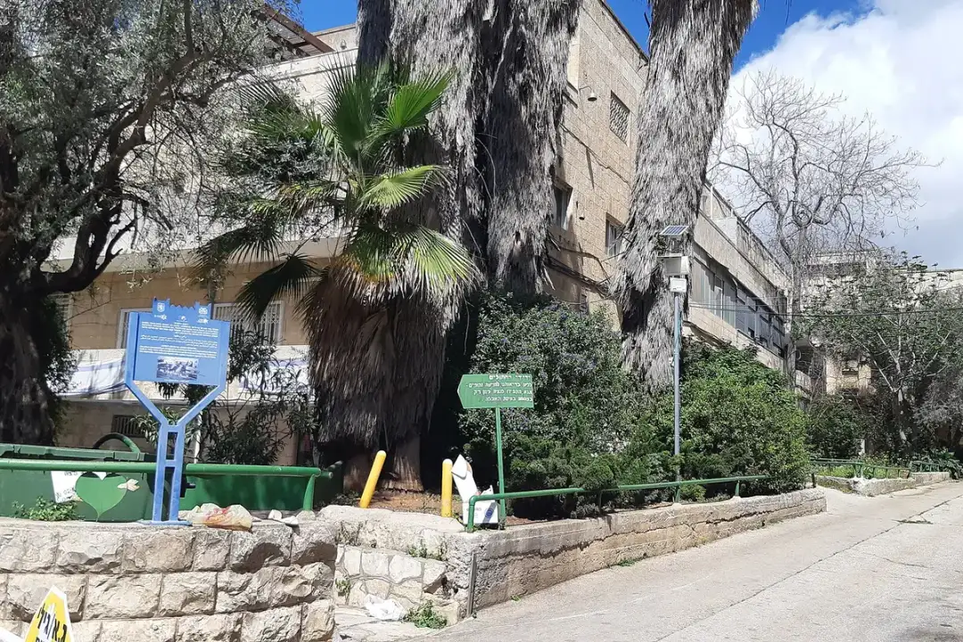 Rechavia, Jerusalem